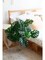 Artificial Monstera Leaves Tree Faux Turtle Leaf Plant for Home Decor Fake Banana Leaves Tree for Office Indoor Outdoor